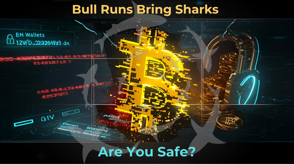 Hero image symbolizing a crypto wallet hack during the bull run, representing how hackers exploit rising markets and target wallet addresses.