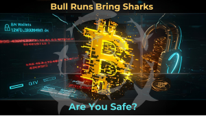 Hero image symbolizing a crypto wallet hack during the bull run, representing how hackers exploit rising markets and target wallet addresses.