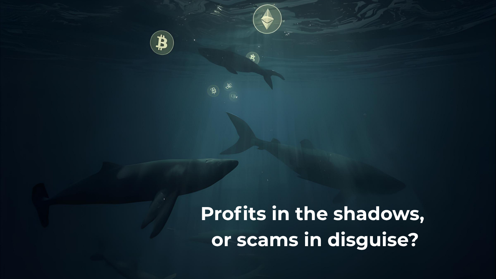 Illustration of whales and sharks circling beneath the surface representing crypto dark pools and hidden trading activity.